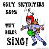 Only skydivers know...